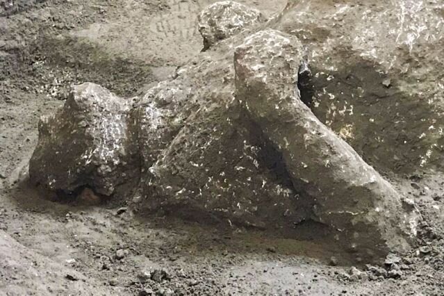 1738801823 کشف بقایای تقریبا سالم دو مرد در «پمپئی»