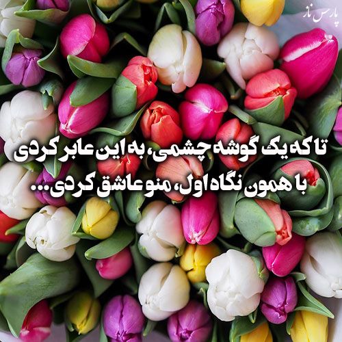 عکس پروفایل گل عاشقانه + متن آهنگ های عاشقانه و زیبا