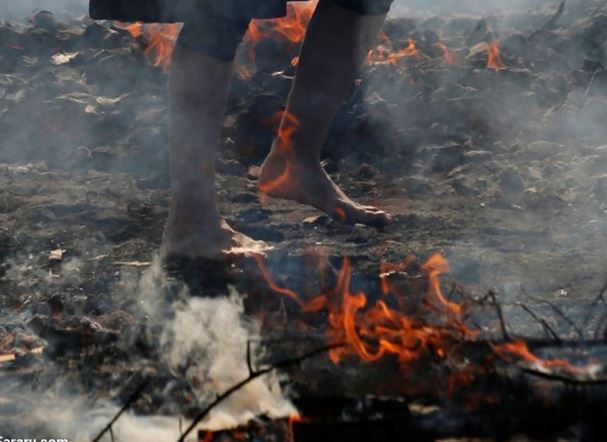 %name (تصاویر) راه رفتن عبادت کنندگان ژاپنی روی ذغال داغ
