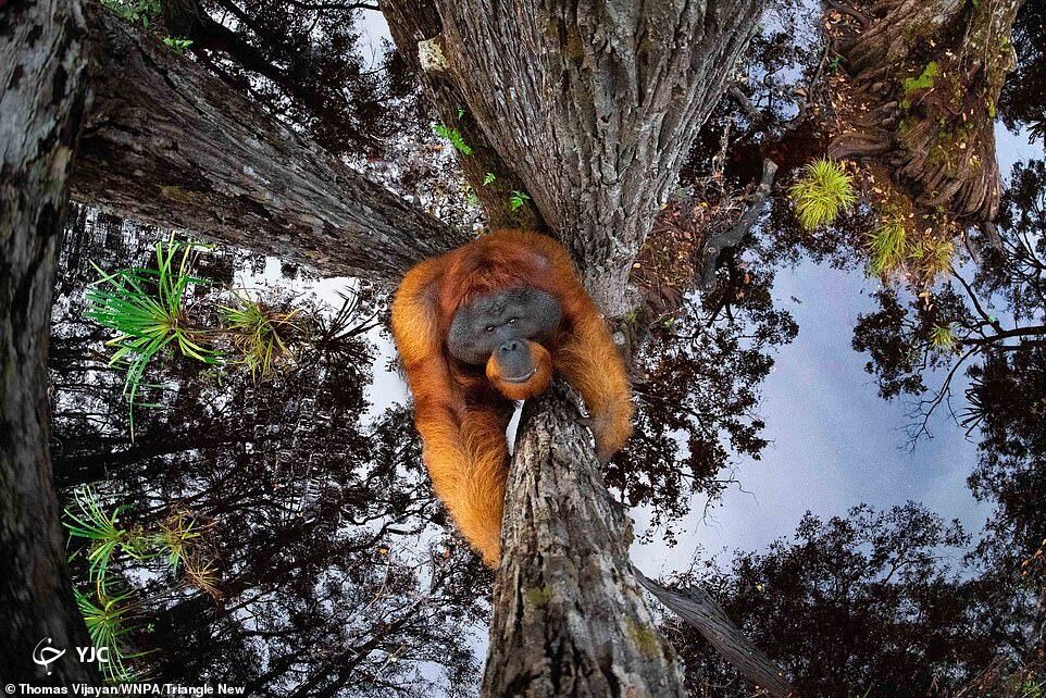 %name تصاویری شگفت انگیز که در مسابقه جهانی عکاسی از طبیعت برگزیده شدند