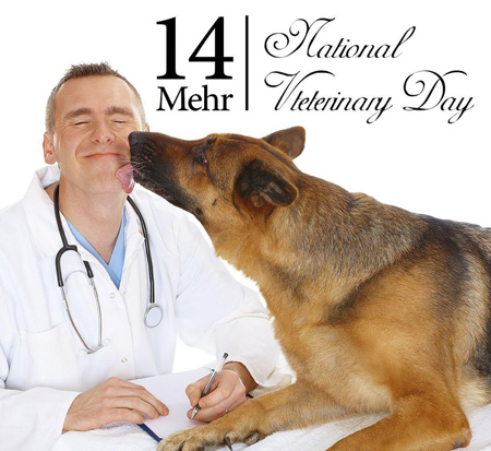 veterinary2 day posters10 پوسترهای روز دامپزشک