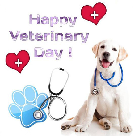 veterinary2 day posters9 پوسترهای روز دامپزشک