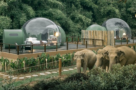 جاذبه گردشگری تایلند, جنگل حباب, اقامت در حباب های جنگلی تایلند